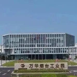 山东最赚钱的公司排名前十,山东最赚钱企业诞生半年利润136亿