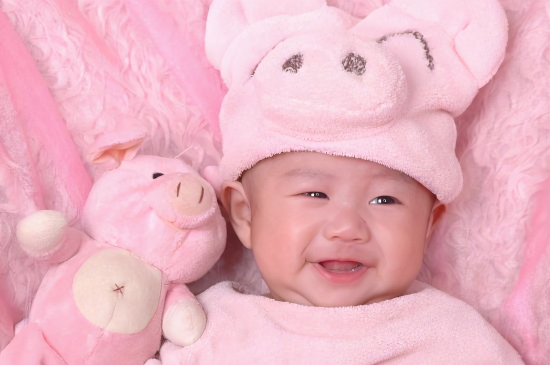 猪宝宝和鼠宝宝哪个好,为什么都喜欢生猪宝宝