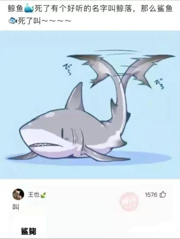 每日一笑：问苍天晴为何物，直叫人加条棉裤