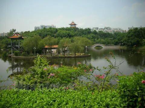 深圳十佳免费湿地公园,深圳十大免费公园排行榜最新名单