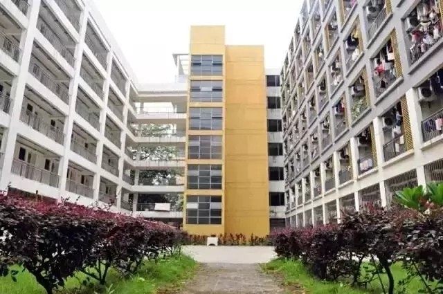 广东科贸职业学院高职投档线,广东科贸职业学院高职高考