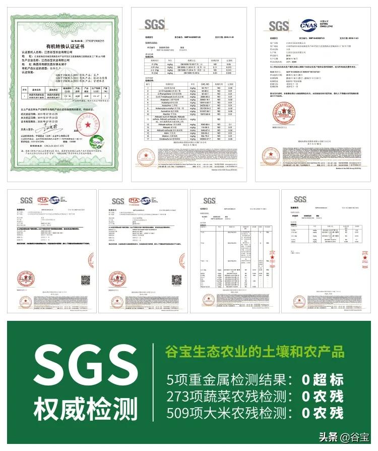 谷宝“六不用”——生态农业的初心与坚守