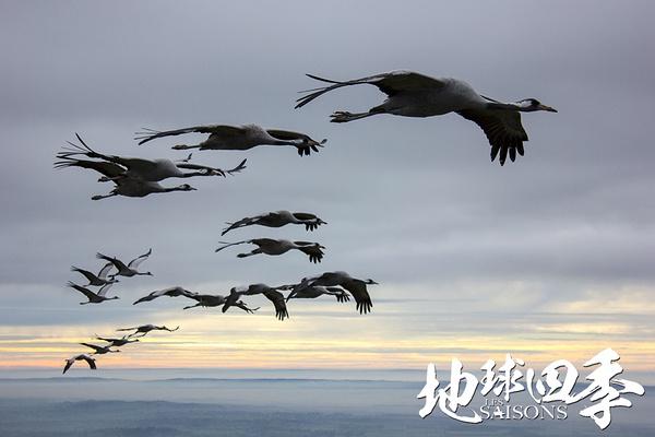 观赏地球的壮丽景观,看地球四季变换的视频