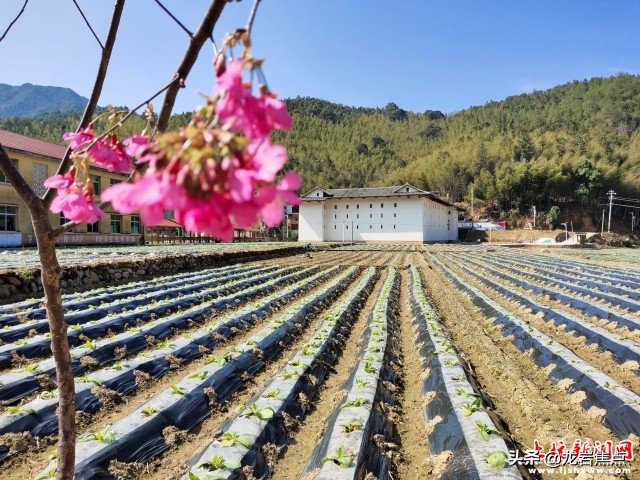 赣南革命老区红军医院,红色革命旧址故事