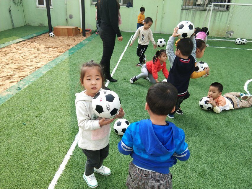 幼师教育工作征文范文,幼儿园教师教育征文范文大全