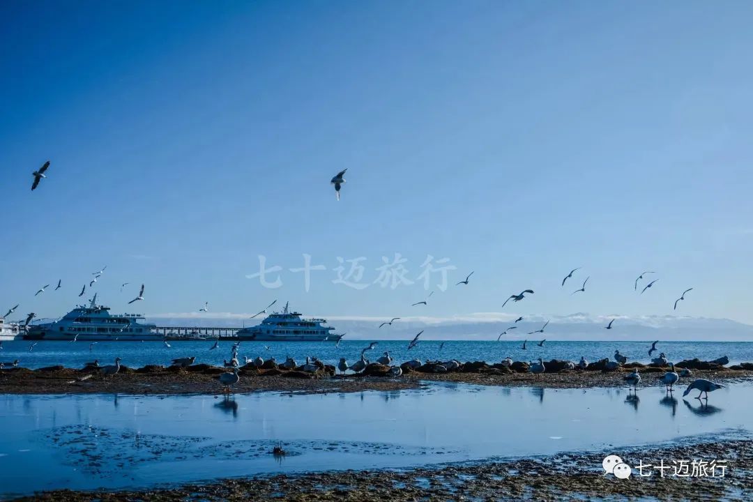 青海湖旅游景点线路推荐图手绘,青海湖景点游玩攻略图