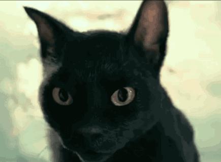 陈凯歌重现大唐盛世,陈凯歌盛世大唐城