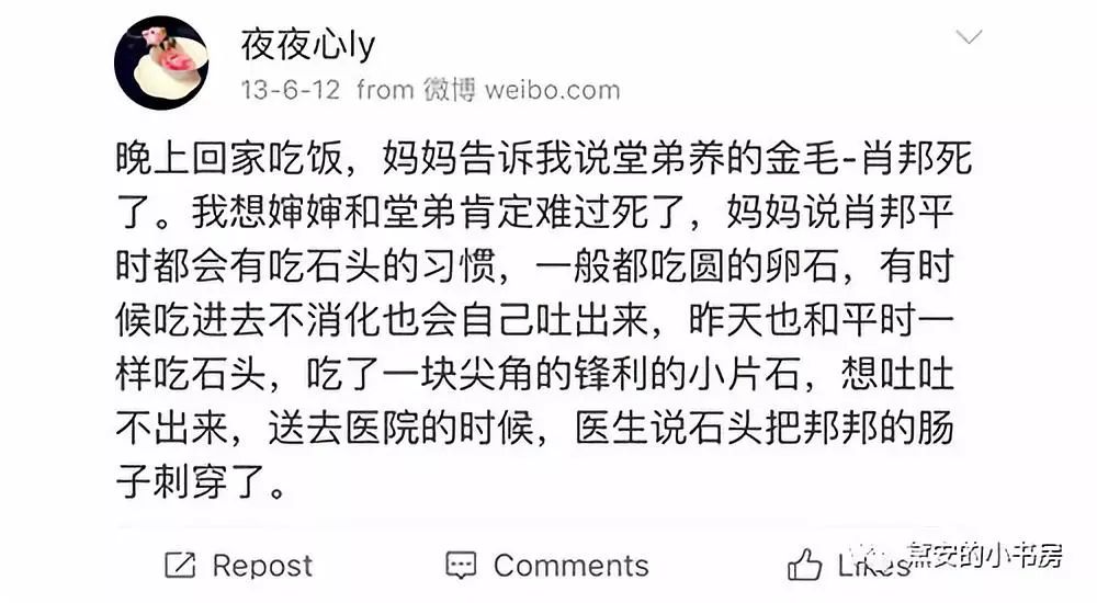 大金毛吞了一块抹布七天不吃东西,金毛吞了一个塑料球