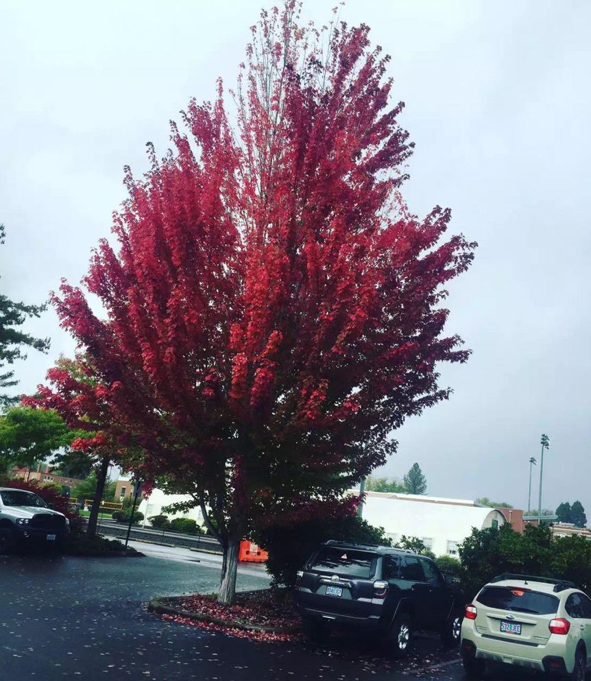 美国留学生做直播,留学生直播赚钱