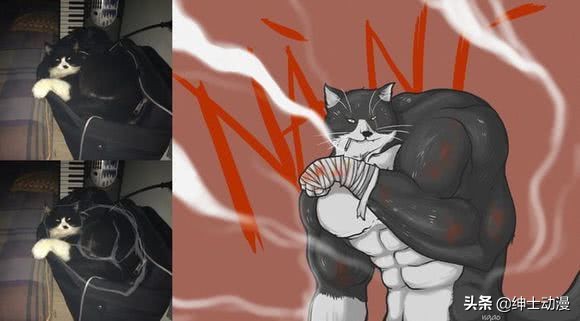 肌肉三巨头柴犬,肌肉动物三巨头图片