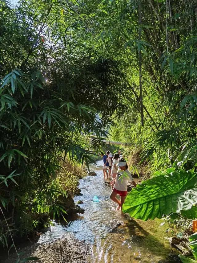 惠东忘山居民宿,惠东特色亲子民宿有哪些