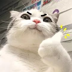 亲戚家熊孩子来我家欺负宠物,亲戚的熊孩子欺负自家孩子