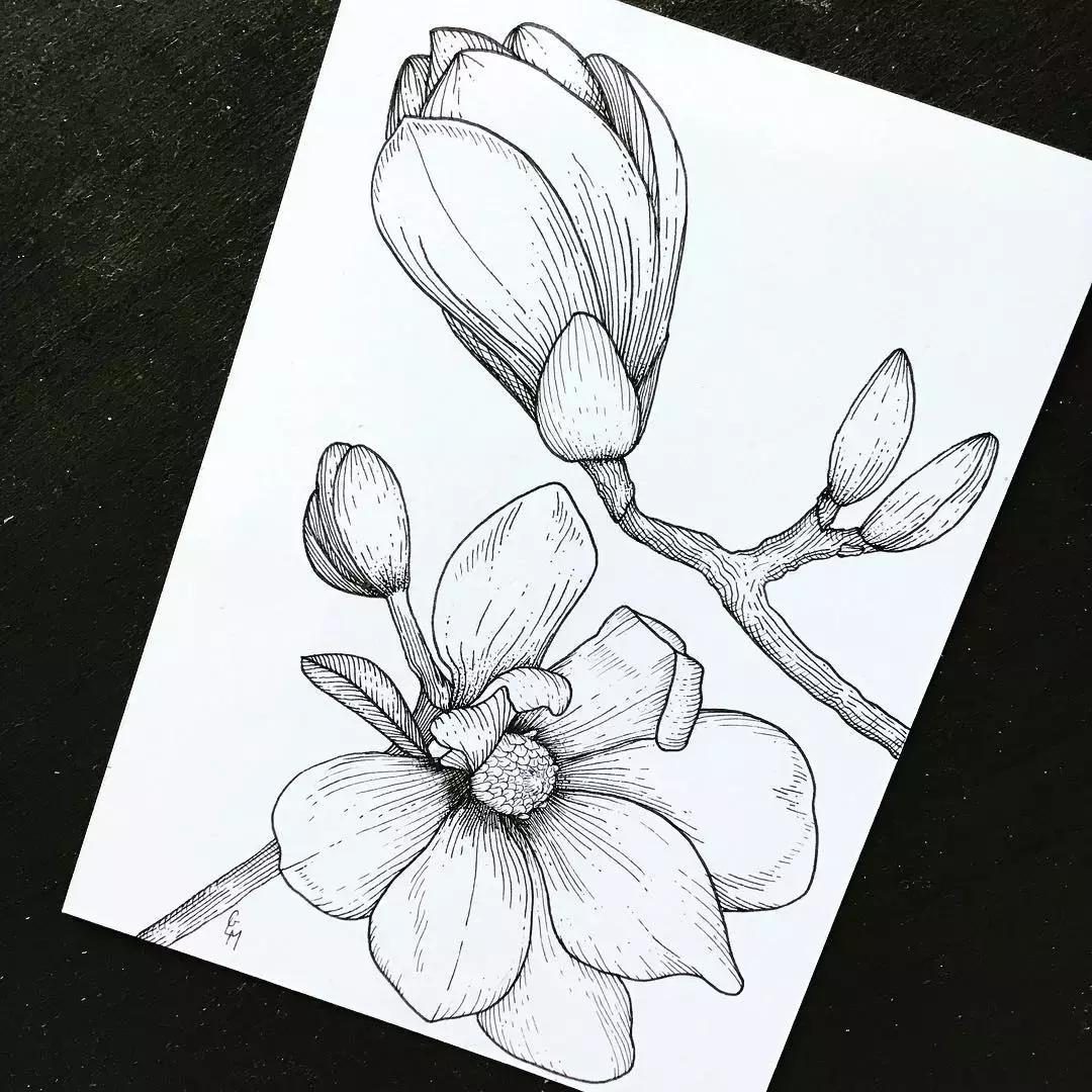 这一波手绘太给力了,绝对让你练完不厉害都难