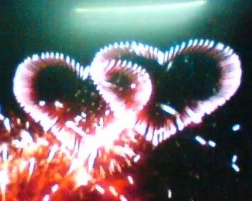 此生有你/纵然最终只是一场幻觉也无悔