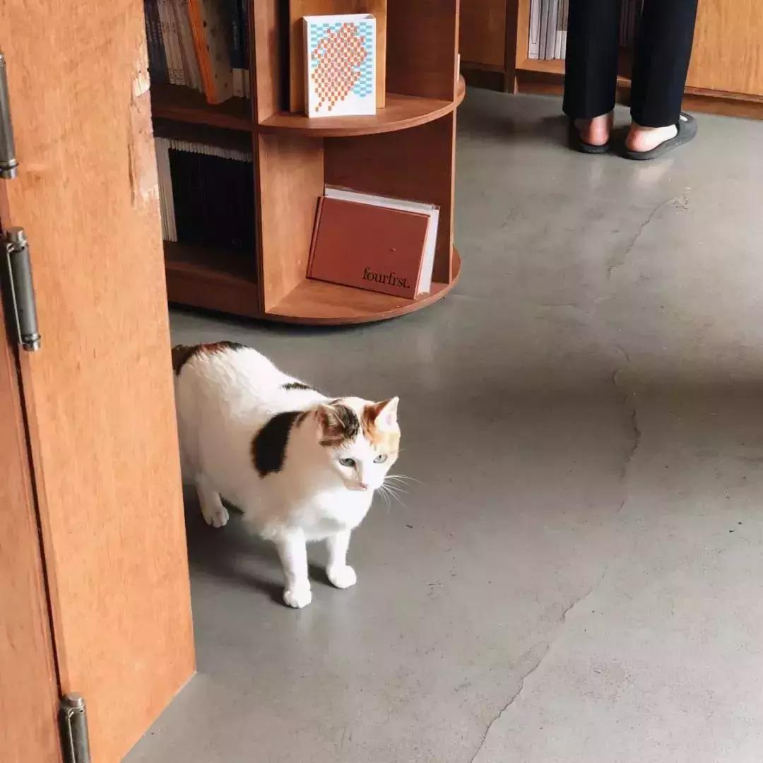 韩国美妆店购物必买清单,小众美妆店必买清单