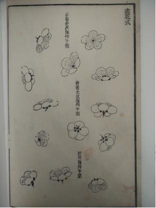 写意梅花画法技法教程视频,小写意花瓶里的梅花的画法