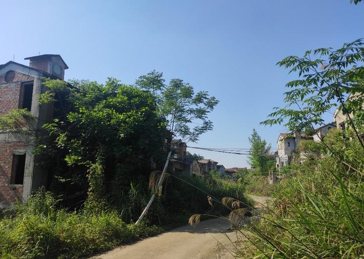 从豪华别墅群到城市“探险”乐园—南山公馆别墅群的前世今生