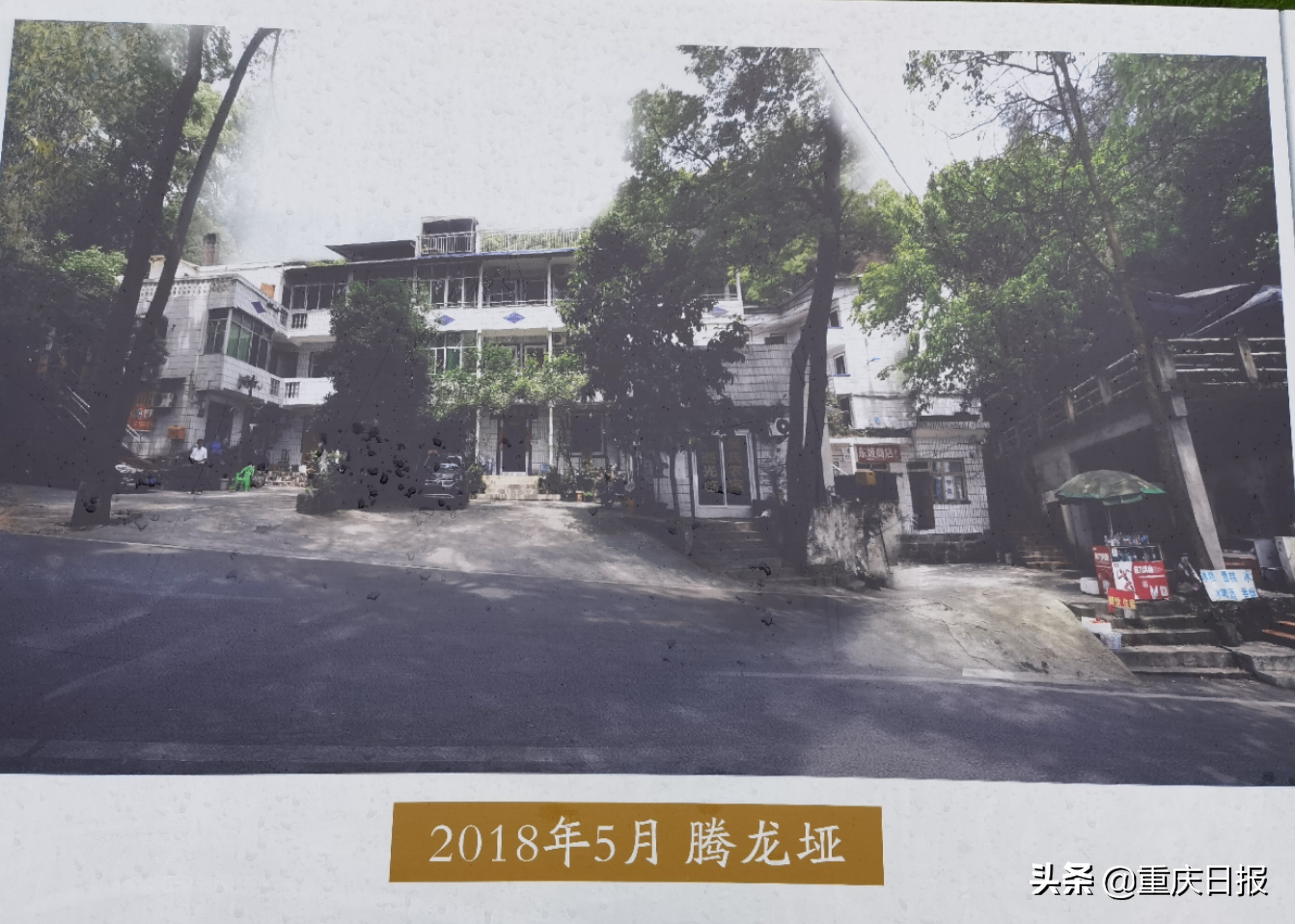 重庆领略山城旅游攻略,缙云山自然保护区整治