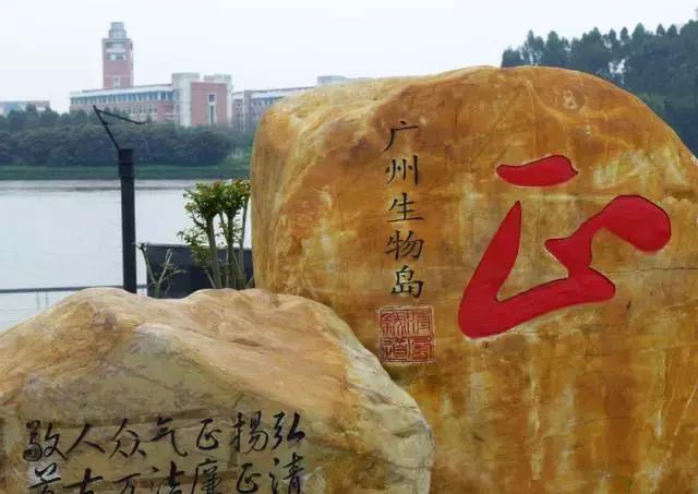 广州的这8个小岛，人少又免费，适合大小情侣的去处