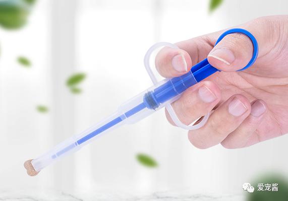 猫咪喂药片的正确方法,如何给猫咪喂药