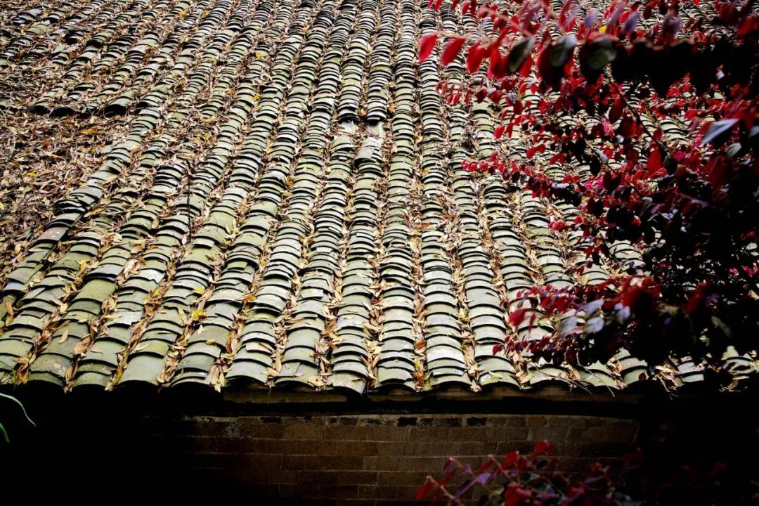 津门网金熙男：彩色小镇