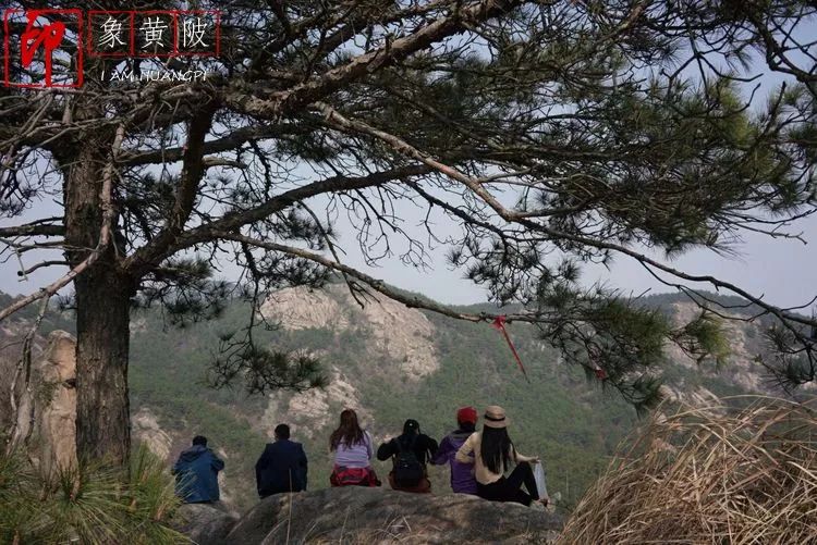 三月，畅攀武汉蔡店鹰嘴石