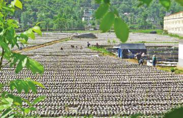 四个聚焦助力脱贫攻坚,脱贫攻坚一达标两不愁三保障