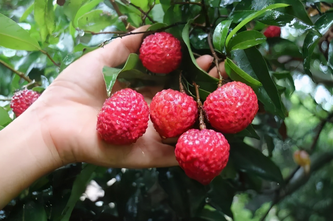 楂樻牎瀛︾敓鐪间腑鐨勫叡闈掑洟,楂樻牎鐢熺溂涓殑鏃朵唬鍙樿縼