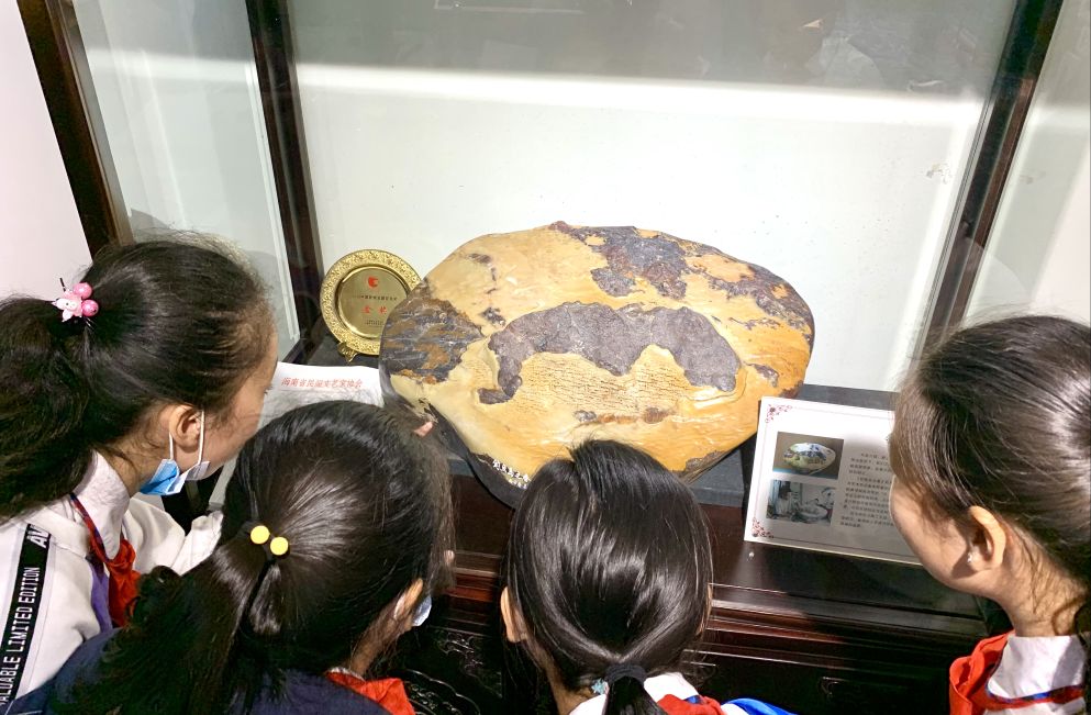 南海匠心·花开世界——青田石雕走进海南自贸港