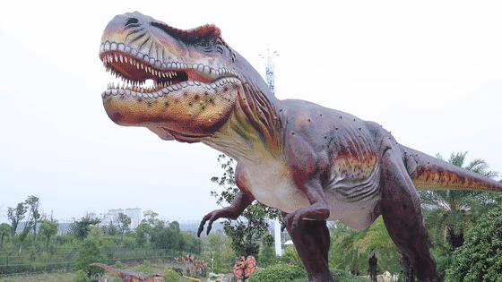 东南花都花博园全新升级鹿岛公园,东南花都花博园导览图