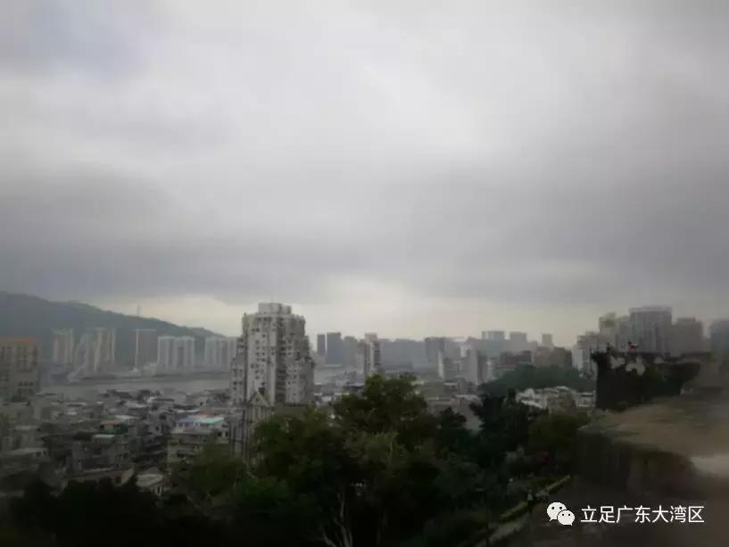 分享给奶爸奶妈们的澳门买奶粉口粮经验！