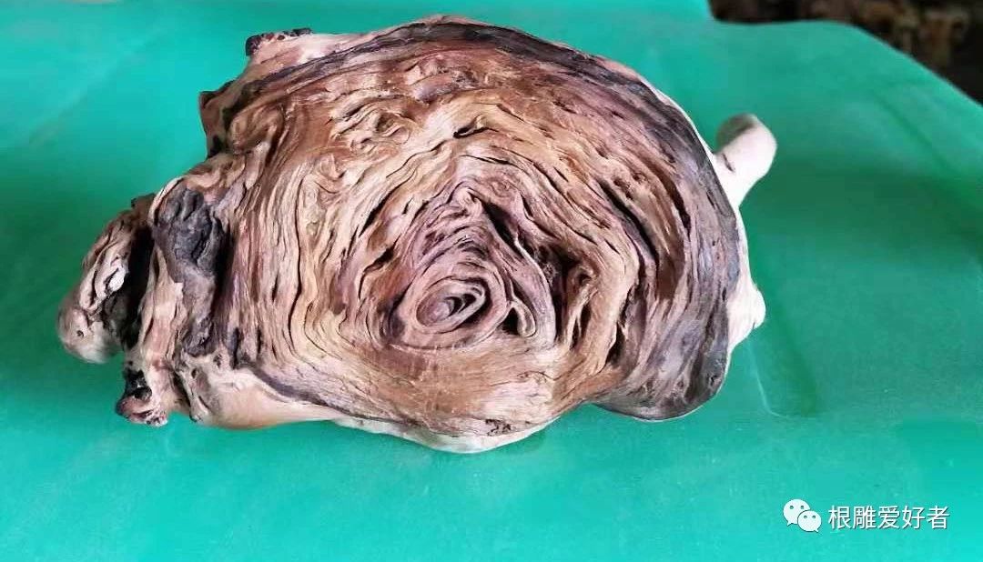 根雕茶壶作品图片,根雕艺术品长嘴茶壶