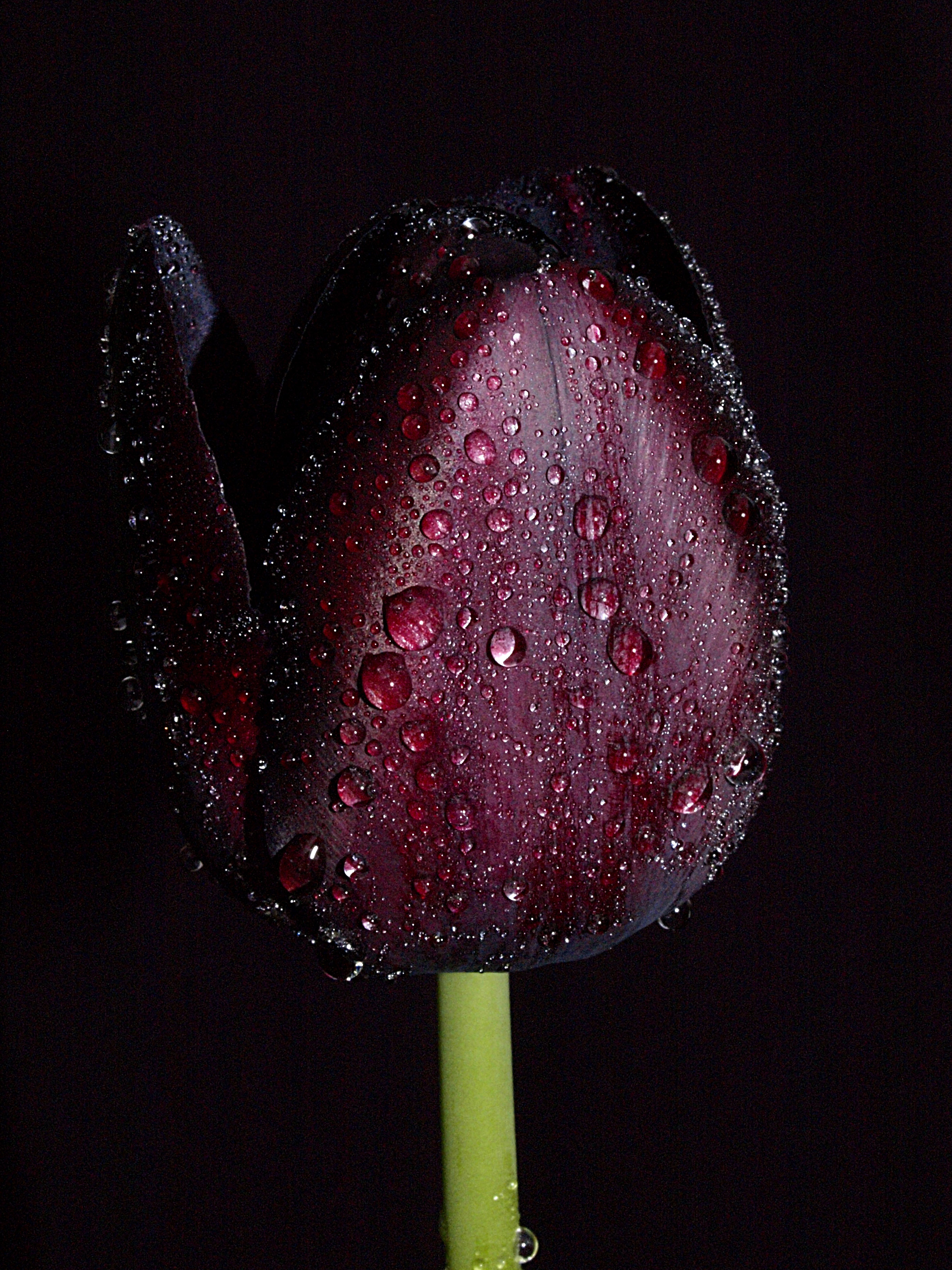 iphone如何用爱思助手越狱系统,爱思助手ios10越狱失败原因