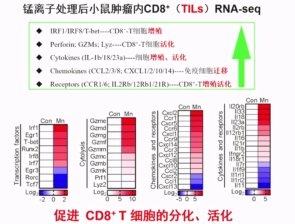 锰元素抗癌,锰元素能抗癌吗
