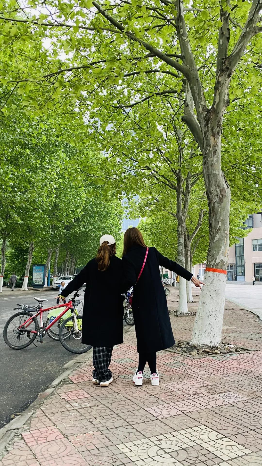 又是一年毕业季大学,又是一年毕业季餐饮套餐