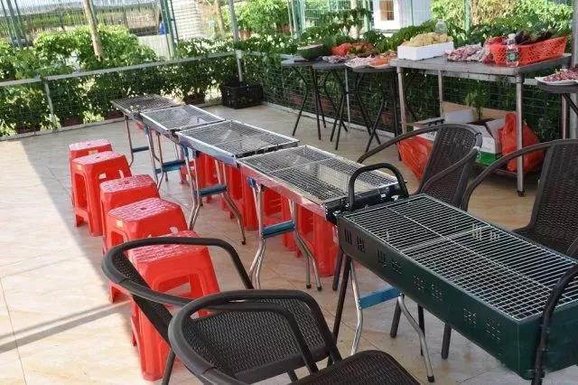 可以去玩的宠物乐园,1000平宠物乐园