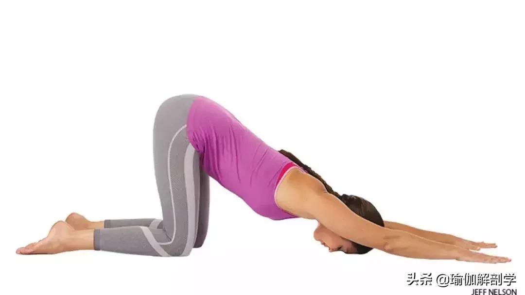 清凉的瑜伽方法,夏天瑜伽哪个呼吸法可以降温