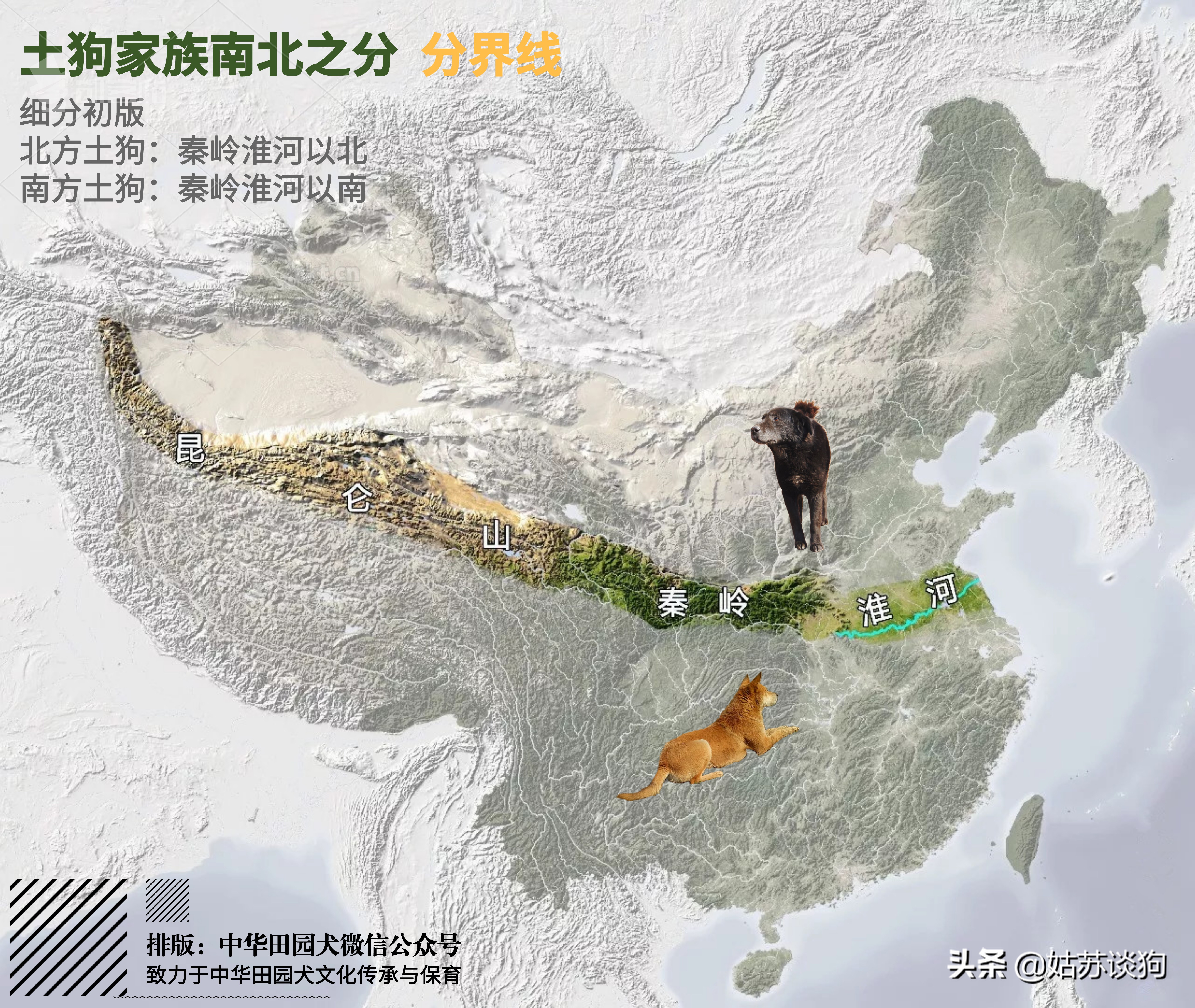 土狗毛多的好还是毛少好,农村土狗为什么越来越少