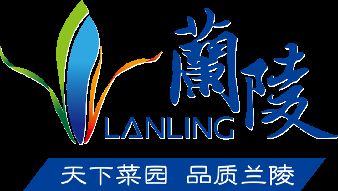 山东大蒜之乡哪一个县,山东的大蒜之乡