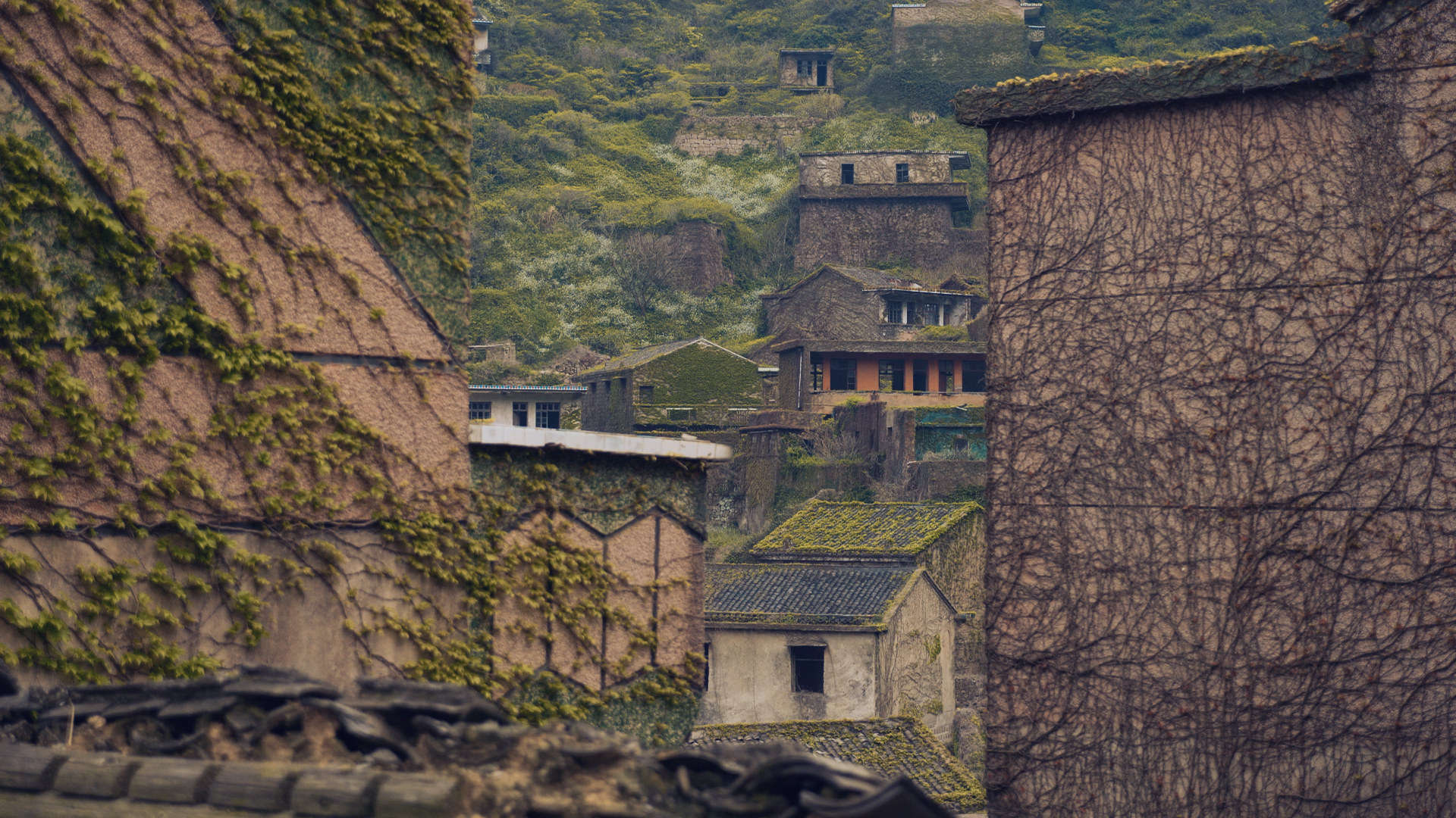 浙江嵊泗二日游,浙江嵊泗旅游攻略推荐