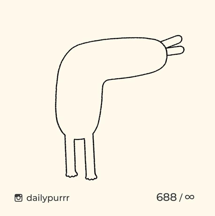 猫是一种液体吗看完长知识了,猫是液体猫咪吗