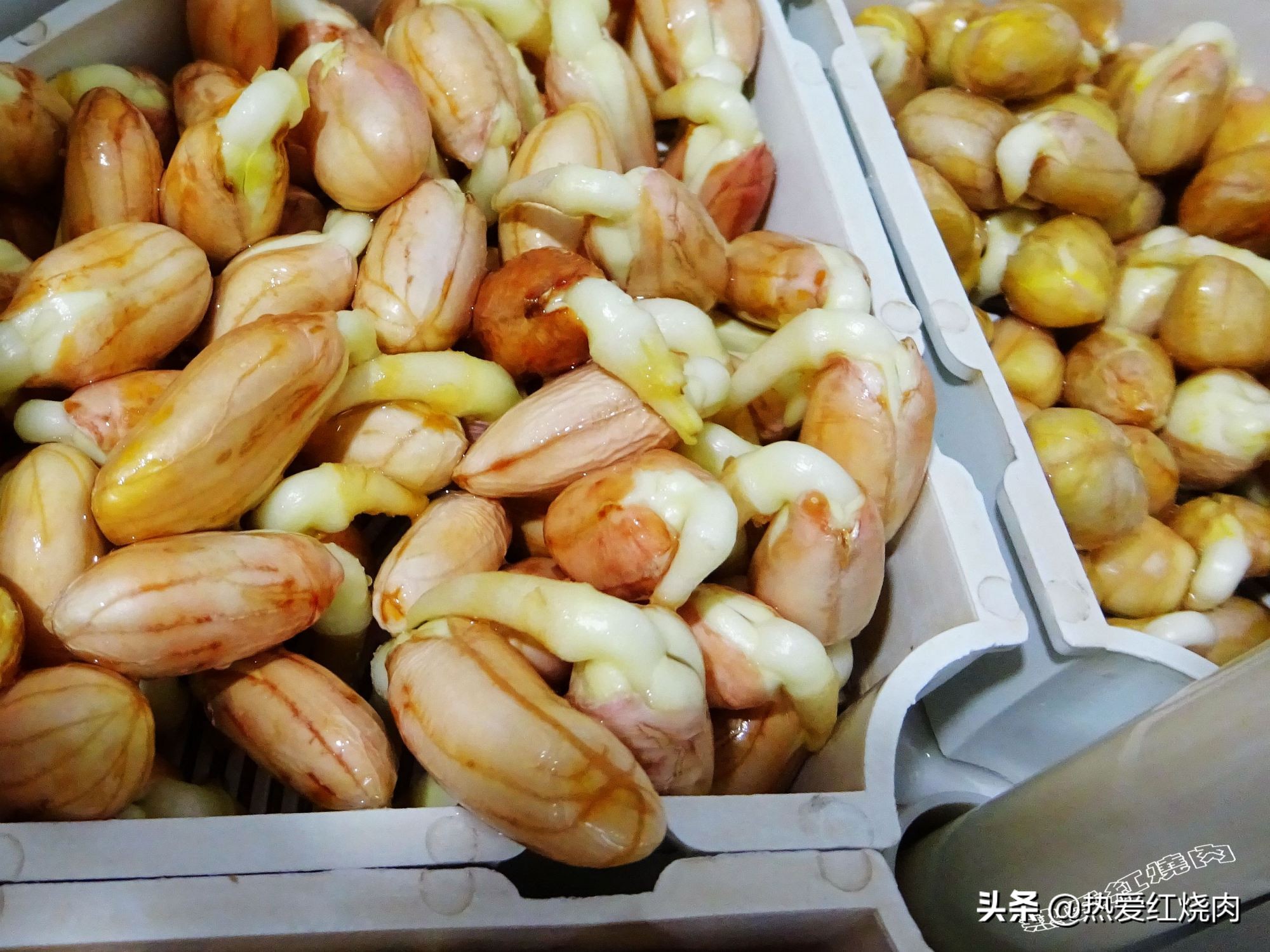 花生芽容易买得到吗,花生做花生芽