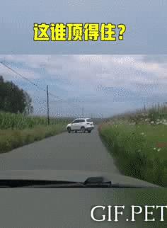 搞笑动图gif图片合集,搞笑动图gif微信可爱表情包