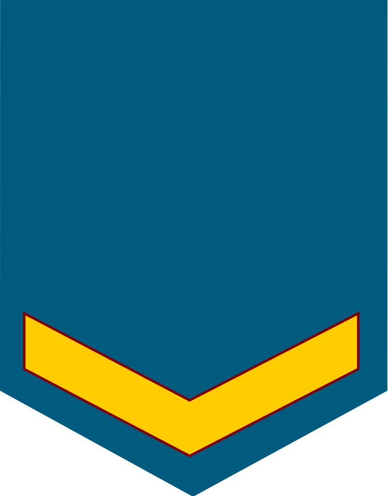 民国国军军装军衔标识,马来西亚军队军衔图集