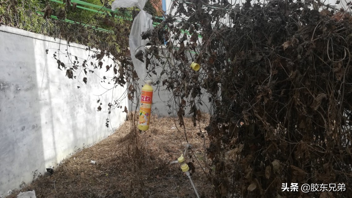 初学弹弓配置,弹弓标靶正确练习方法