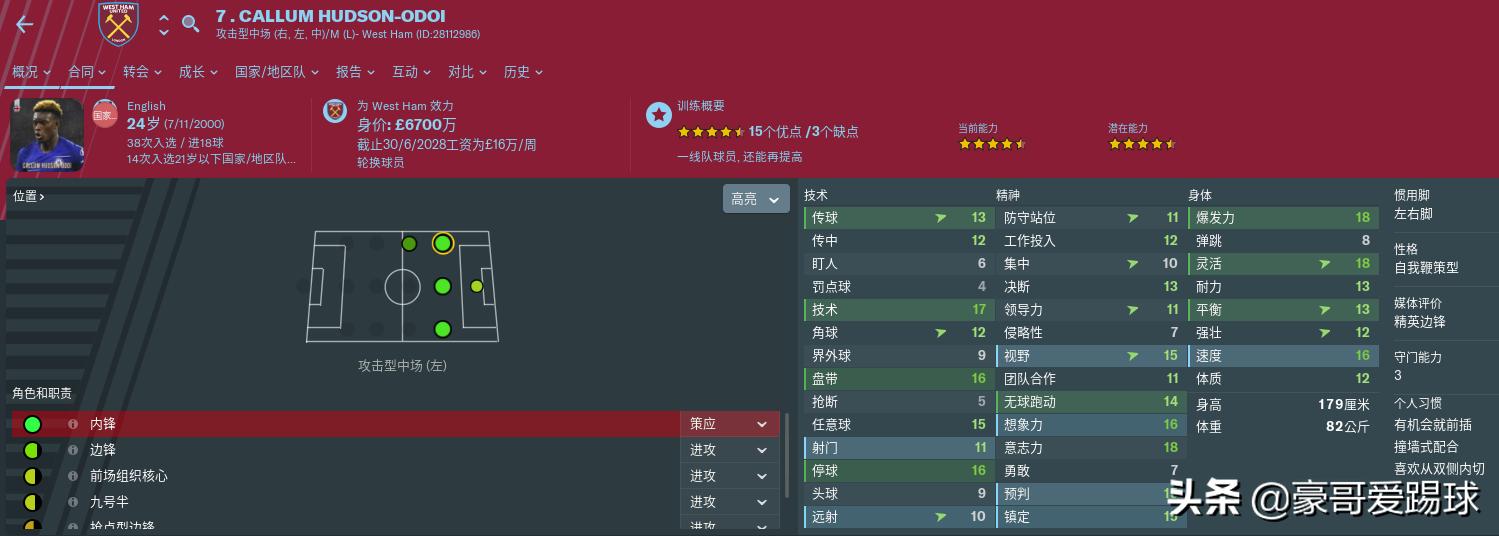 fm足球经理阵型,fm足球经理名单