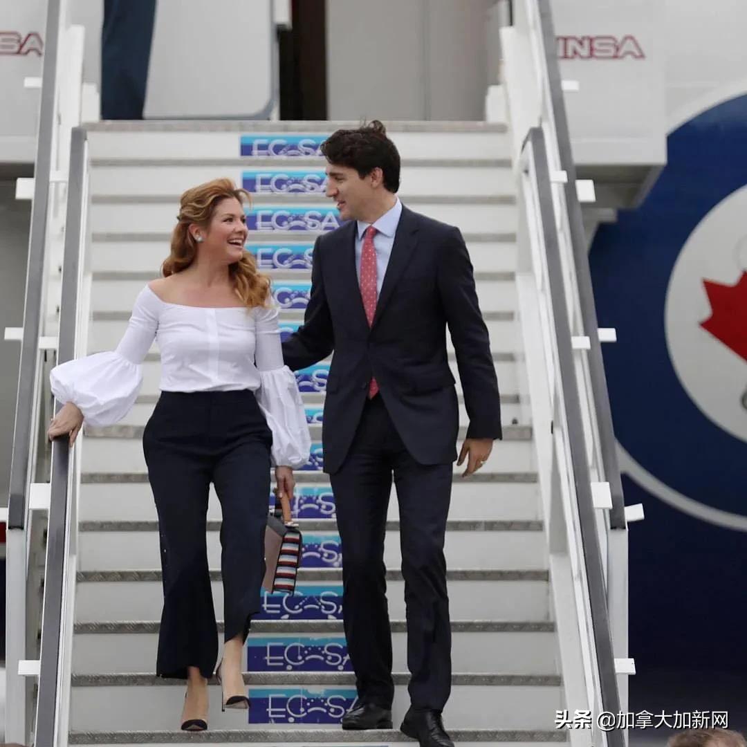 疫情下加拿大国民品牌破产Google未来城泡汤全都撑不住了