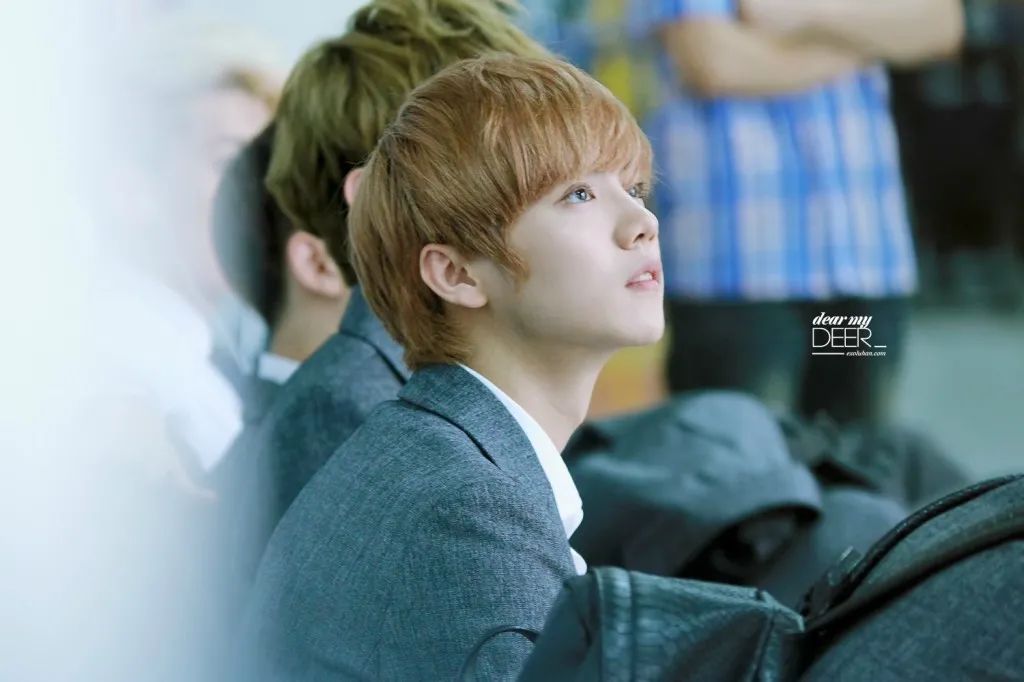 最近关于鹿晗的大新闻,一人之下鹿晗的翻身之战