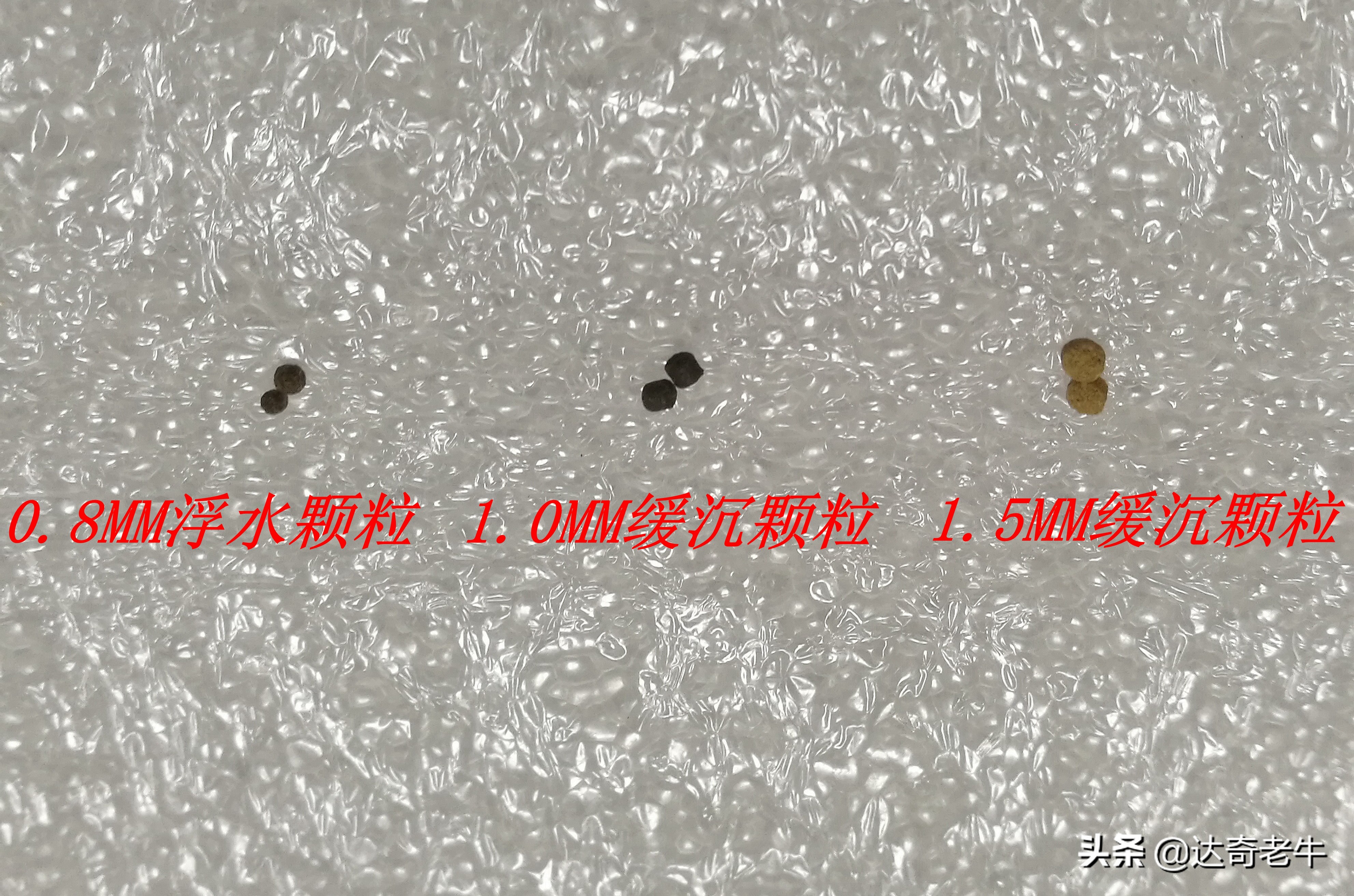 养殖颗粒钓鱼,养殖鱼用什么颗粒钓