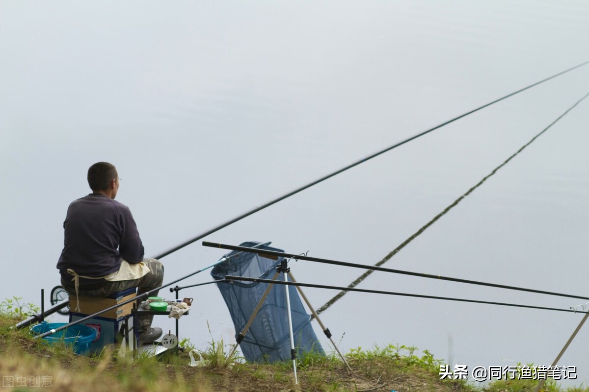 手竿钓梭鱼串钩调漂的正确方法,如何用手竿用虾皮串钩钓翘嘴